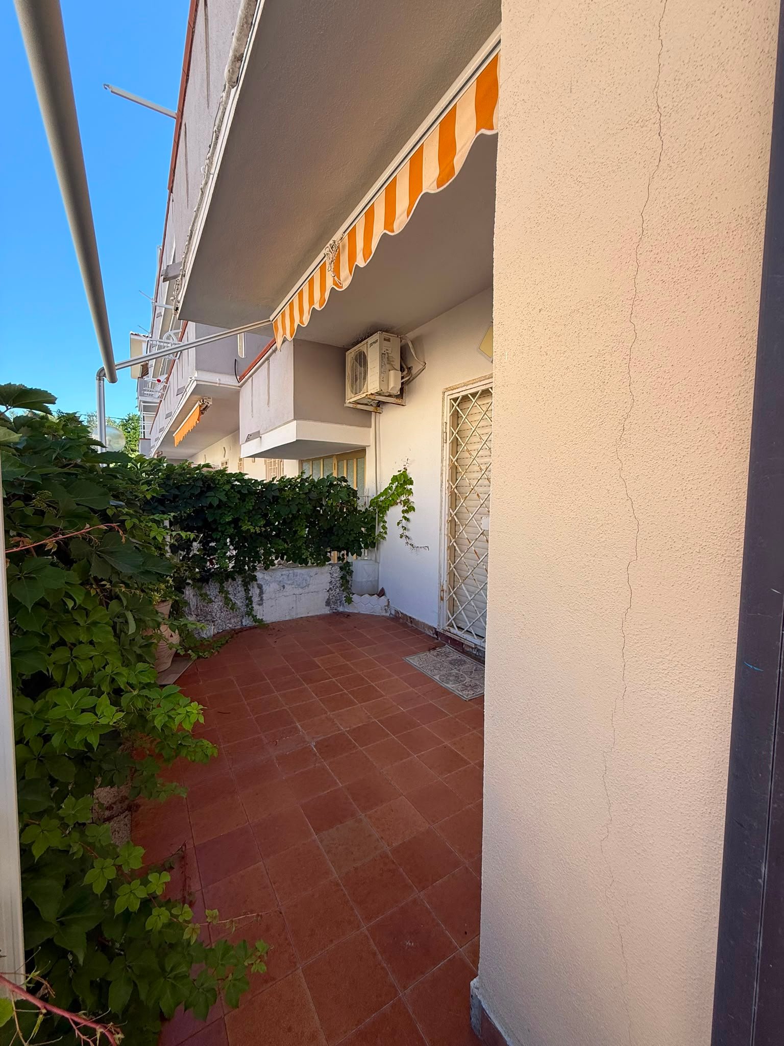 Three-Room Apartment in Marina di Santa Maria del Cedro – Just Steps from the Sea!